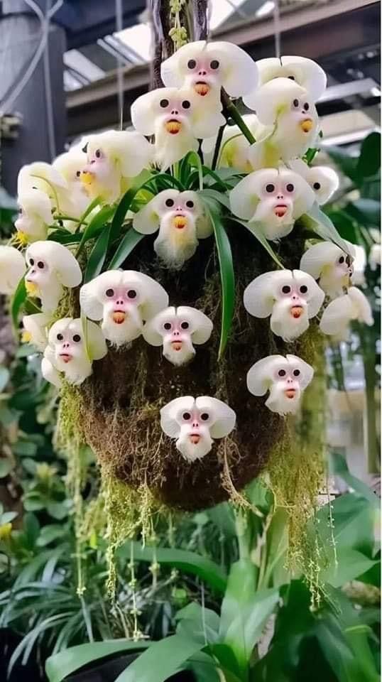 Nature’s surprises